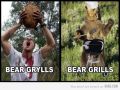 Bear Grills