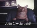 Jade Ci wpierdolić!