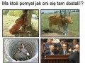 Ma ktoś pomysł jak oni się tam dostali?