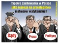 Typowe zachowania w Polsce