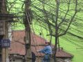 Stefan, przepnij jeden kabelek bo netu nie ma
