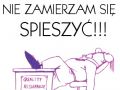 Nie zamierzam się spieszyć