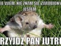 Nie wiem, nie znam się, zarobiony jestem